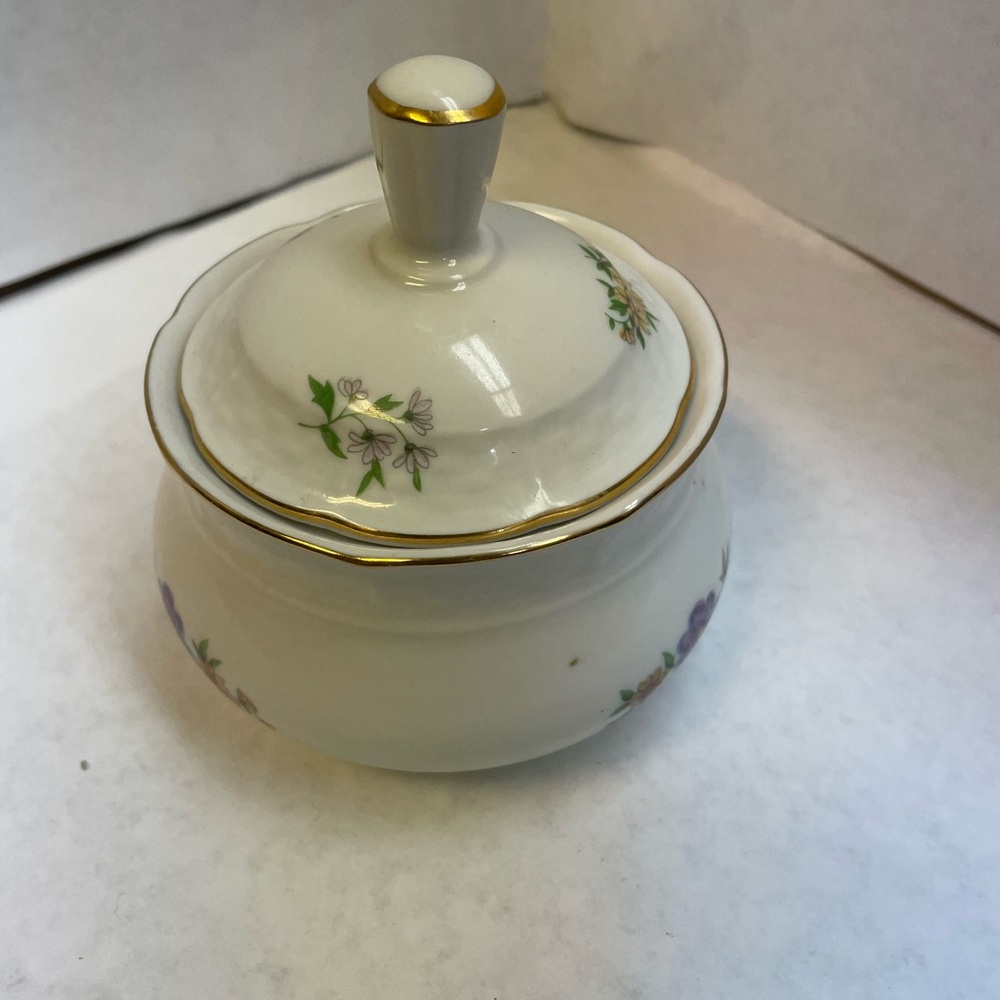 4.5” Europa Bouquet Fine Porcelain Sugar Bowl Made in Czechoslovakia